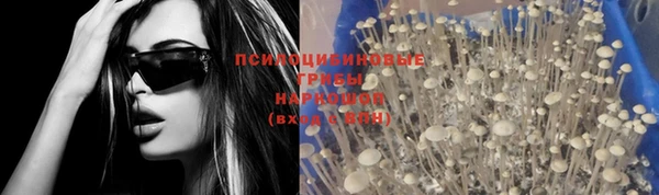 mdma Горняк