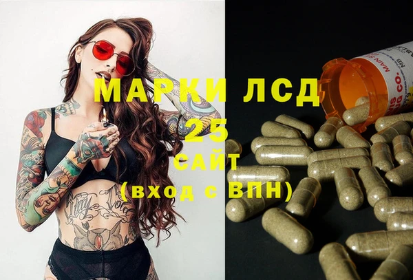 прущая мука Вяземский
