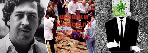 прущая мука Вяземский