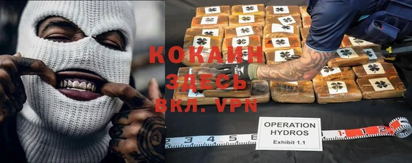 прущие крисы Вязьма