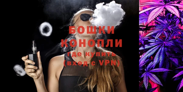 шишки Горно-Алтайск