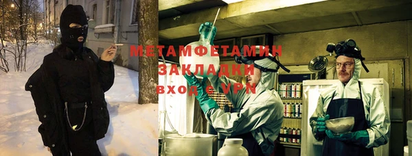 прущая мука Вяземский