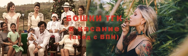 прущая мука Вяземский
