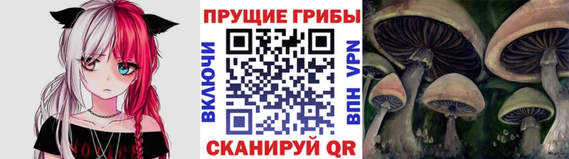 Купить закладки  Мещовск  Псилоцибиновые грибы мухоморы 